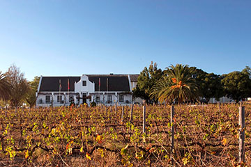 Swartland Winery, South-Africa